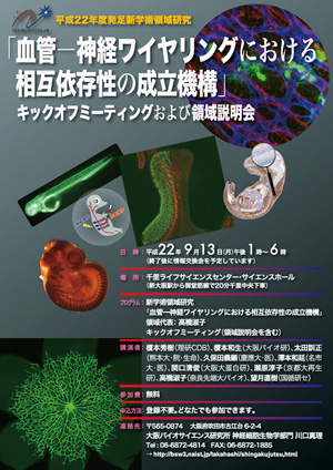 血管-神経ワイヤリングにおける相互依存性の成立機構キックオフミーティングおよび領域説明会